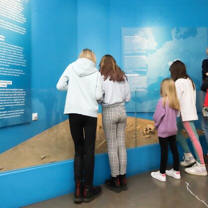 Dauerausstellung - Remedello  | © © Südtiroler Archäologiemuseum/Daniel Mair